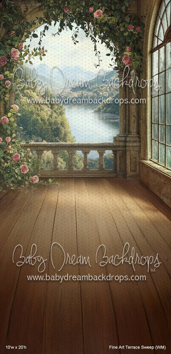 Fine Art Terrace Sweep (WM)