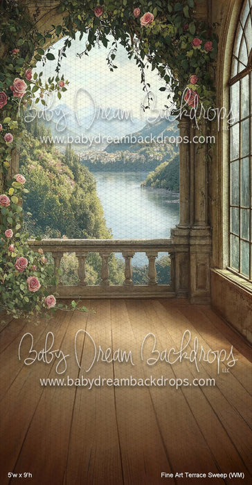 Fine Art Terrace Sweep (WM)