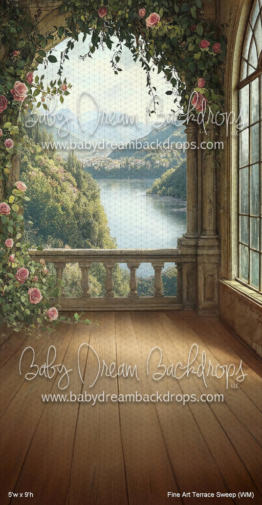 Fine Art Terrace Sweep (WM)