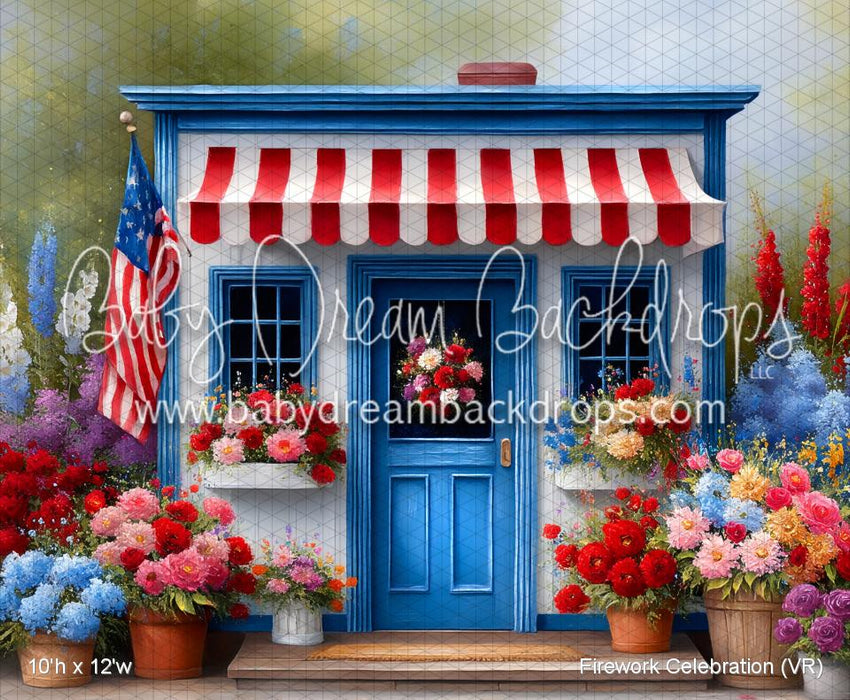 Firework Celebration (VR)