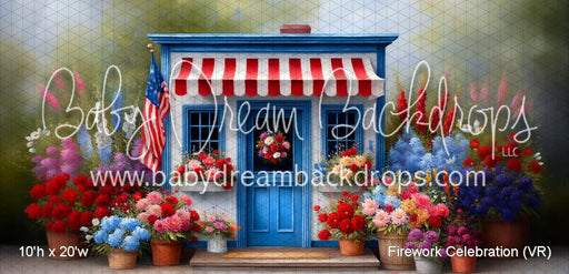 Firework Celebration (VR)