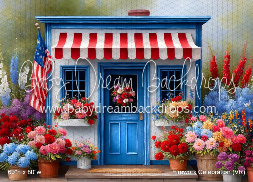 Firework Celebration (VR)