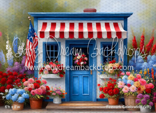 Firework Celebration (VR)