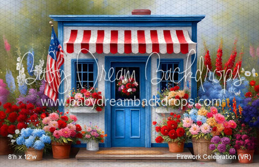 Firework Celebration (VR)