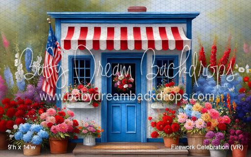 Firework Celebration (VR)