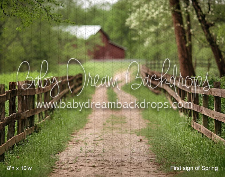 First sign of Spring (VR)