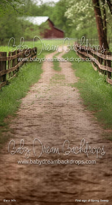 First sign of Spring Sweep (VR)