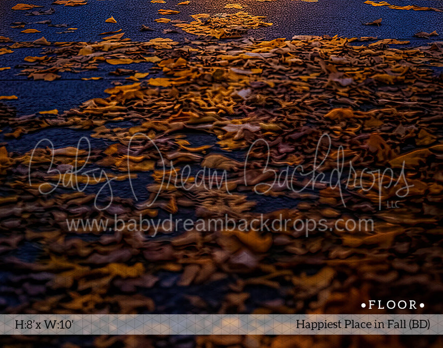 Fall Behind Place Fabric Floor Happiest Place in Fall (GK) — Baby Dream Backdrops