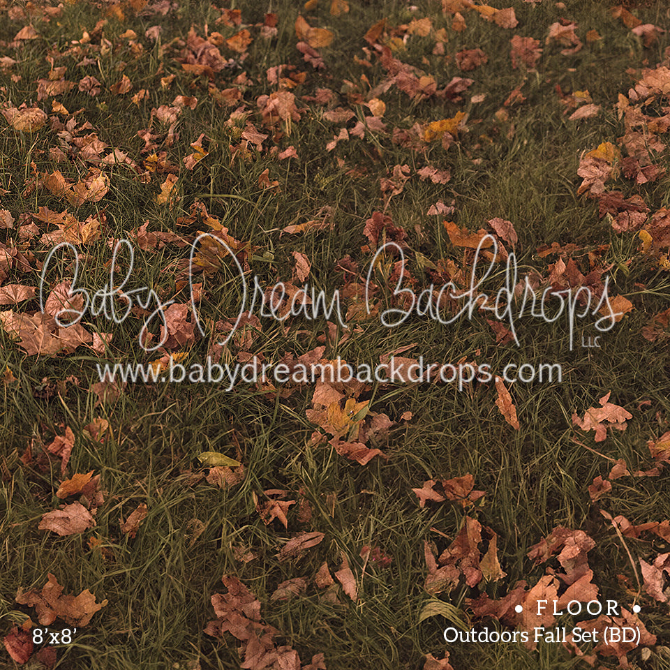 Floor Outdoors Fall Set (BD) — Baby Dream Backdrops