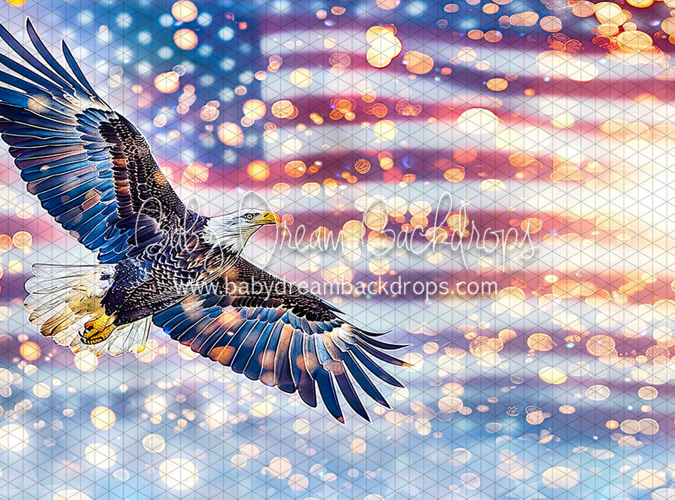 Freadom Soaring (BD)