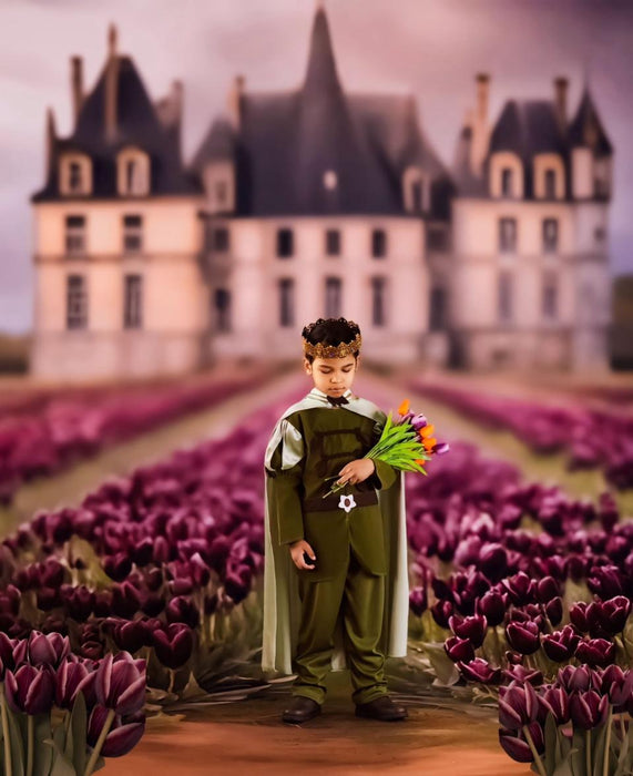 French Tulips Sweep (VR)