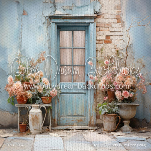 French Country Blue Door (WM)