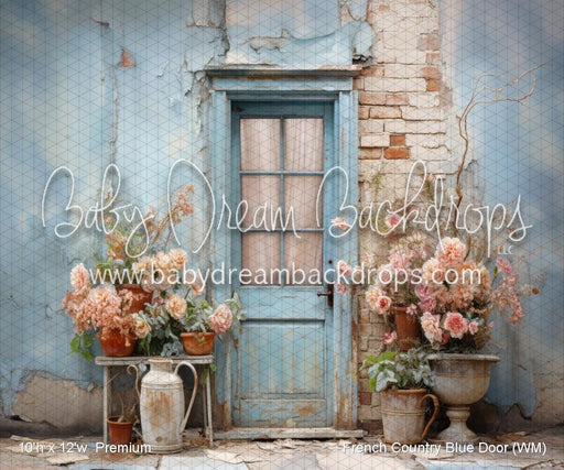 French Country Blue Door (WM)
