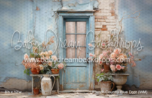 French Country Blue Door (WM)