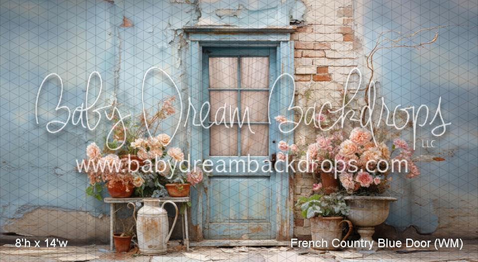 French Country Blue Door (WM)