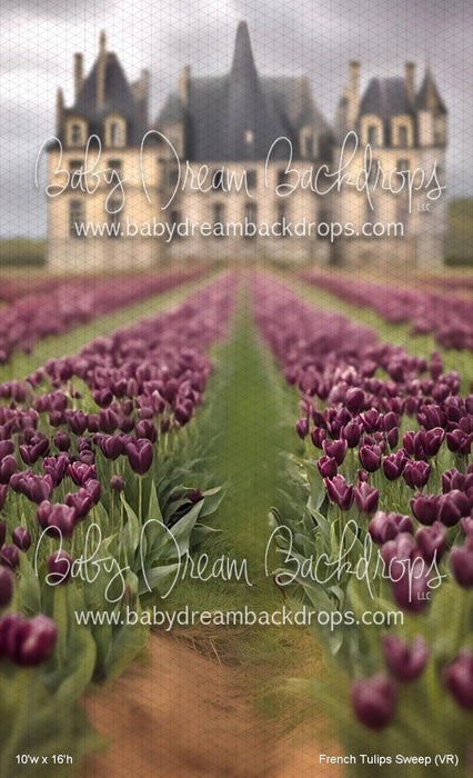 French Tulips Sweep (VR)