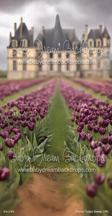 French Tulips Sweep (VR)