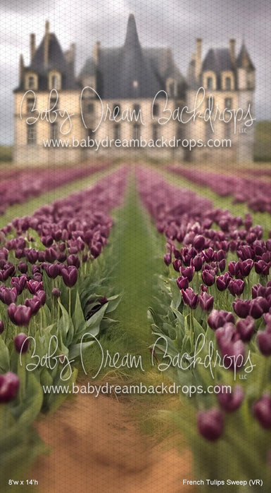 French Tulips Sweep (VR)
