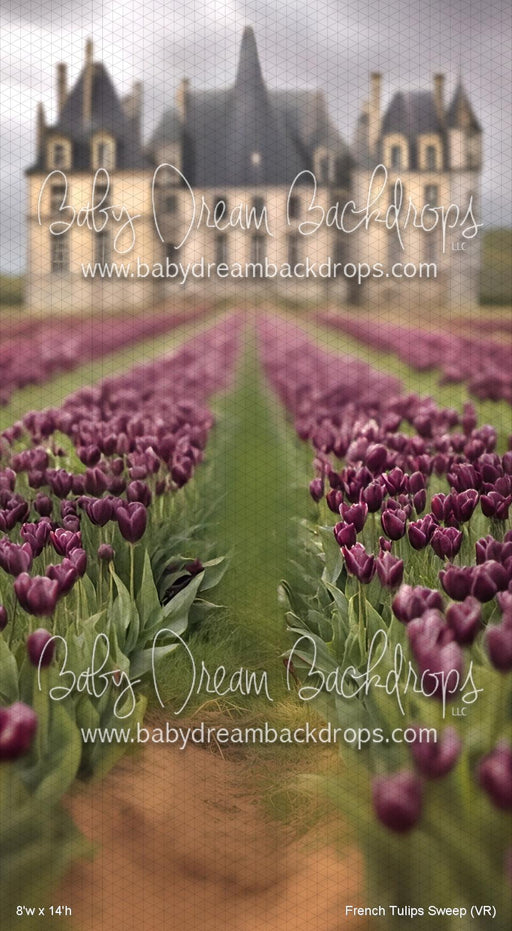 French Tulips Sweep (VR)