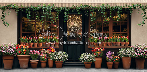 Fresh Bloom Studio (JA)