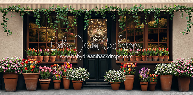 Fresh Bloom Studio (JA)