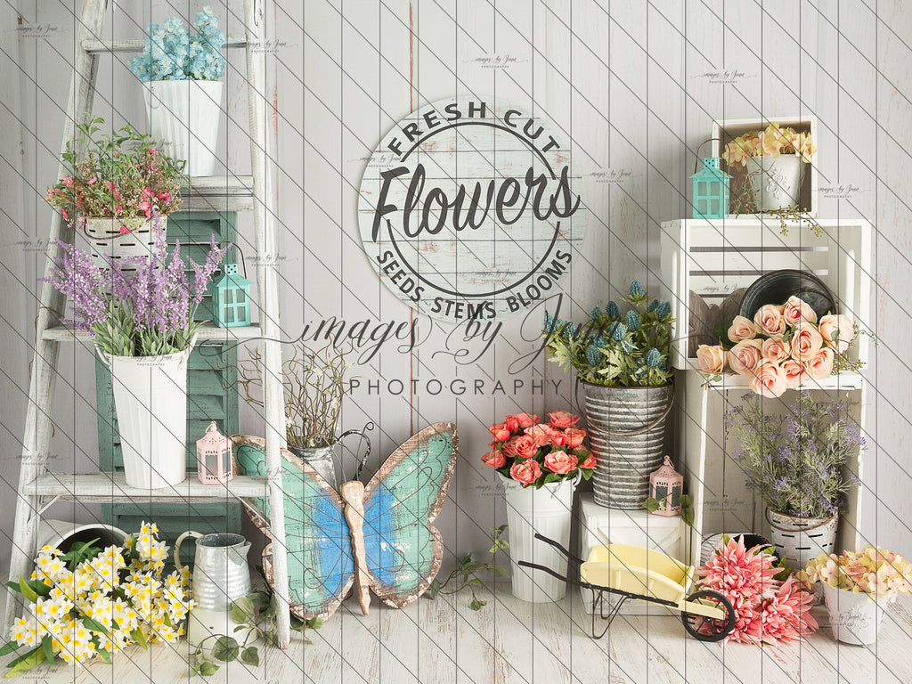fresh cut flower seeds Fresh Cut Flower Market (JG)