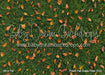 Fresh Fall Grass Floor (CC)
