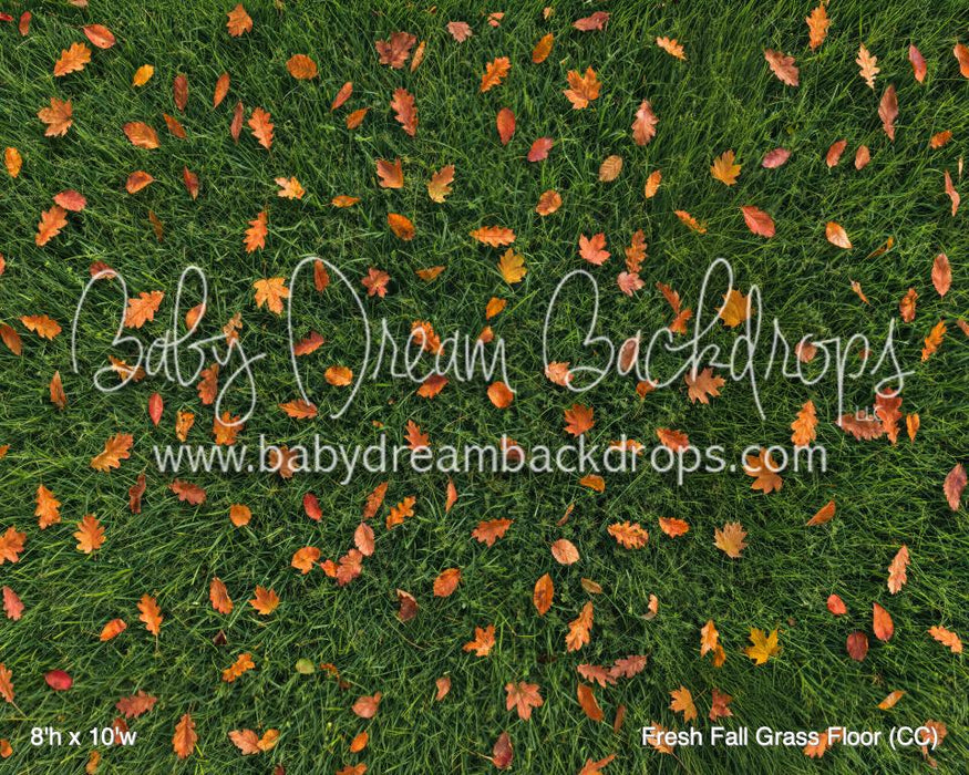 Fresh Fall Grass Floor (CC)