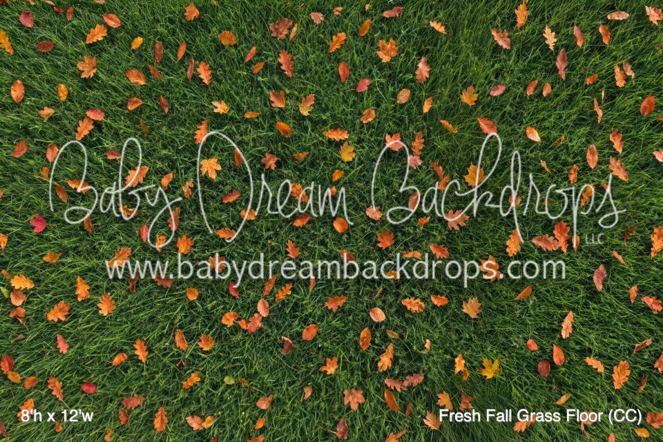 Fresh Fall Grass Floor (CC)