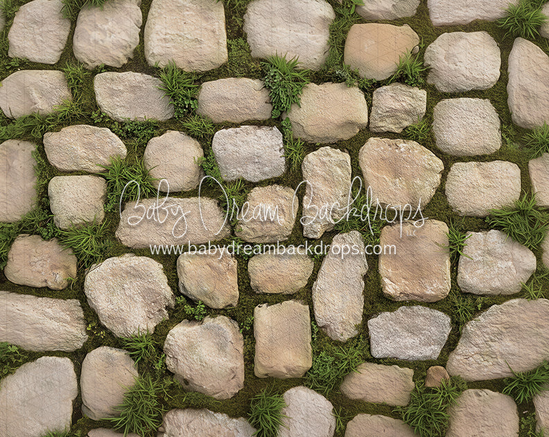 Fresh Steps Floor (CC)