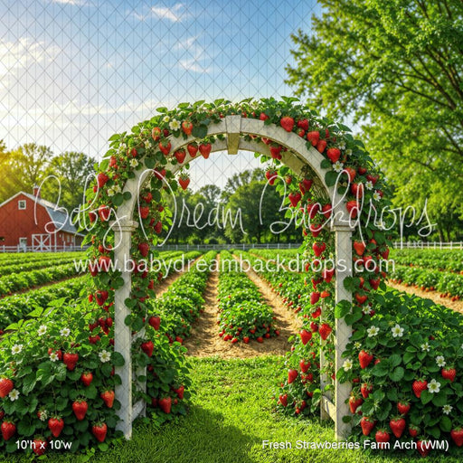 Fresh Strawberries Farm Arch (WM)