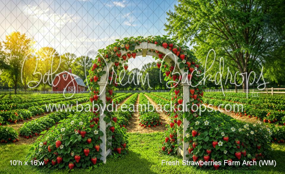 Fresh Strawberries Farm Arch (WM)