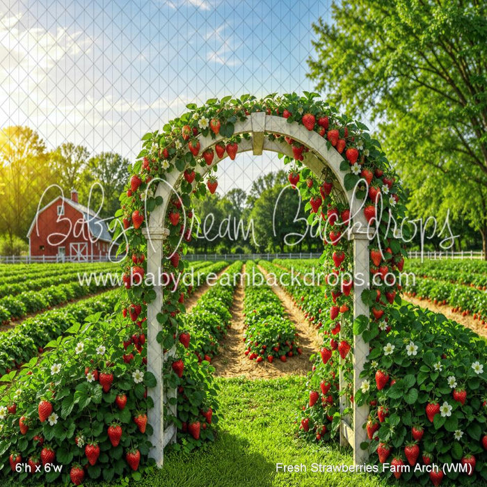Fresh Strawberries Farm Arch (WM)