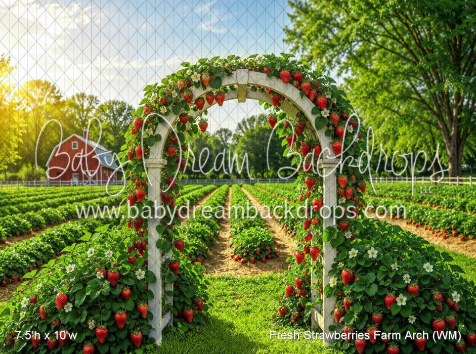 Fresh Strawberries Farm Arch (WM)