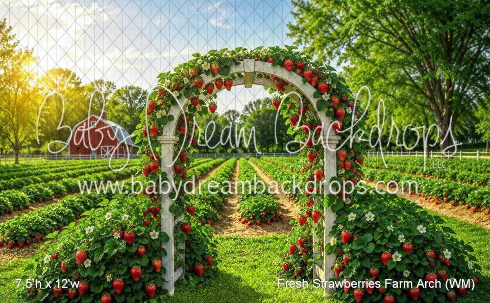 Fresh Strawberries Farm Arch (WM)