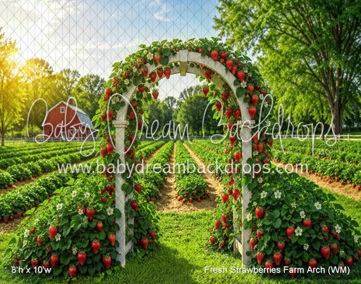 Fresh Strawberries Farm Arch (WM)