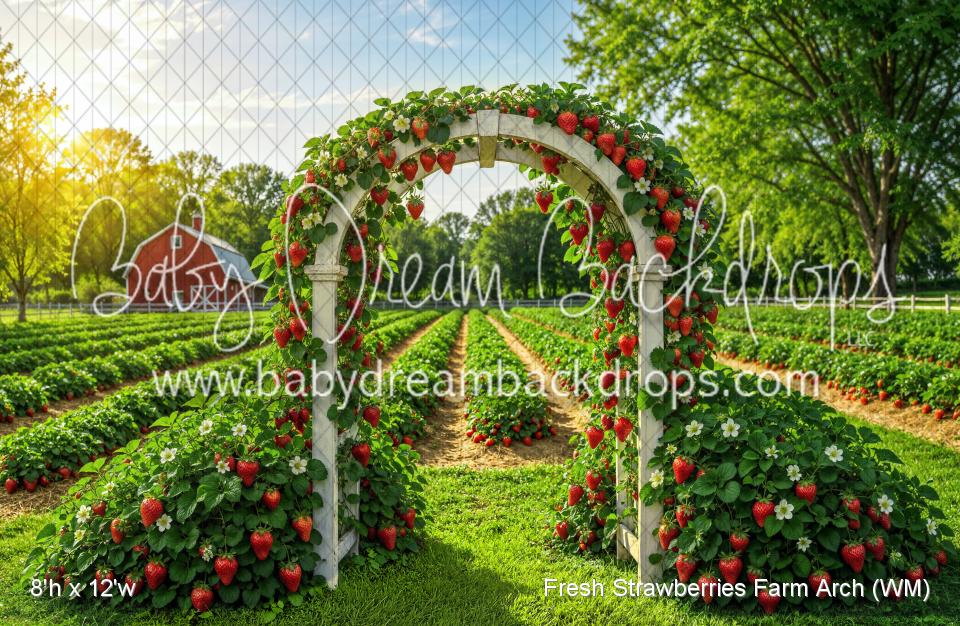 Fresh Strawberries Farm Arch (WM)