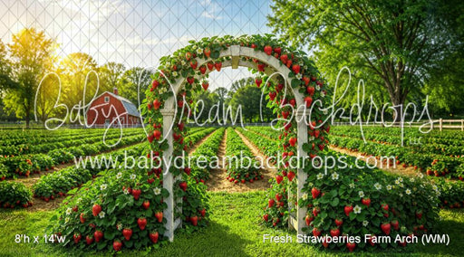 Fresh Strawberries Farm Arch (WM)