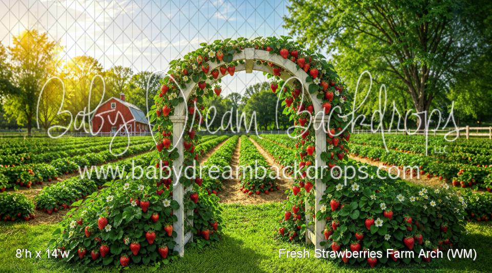 Fresh Strawberries Farm Arch (WM)