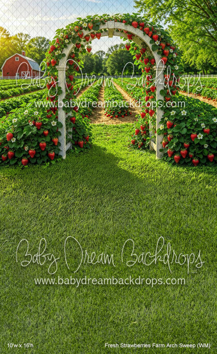 Fresh Strawberries Farm Arch Sweep (WM)