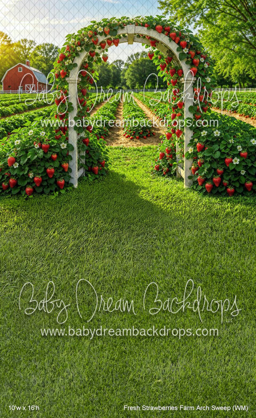 Fresh Strawberries Farm Arch Sweep (WM)
