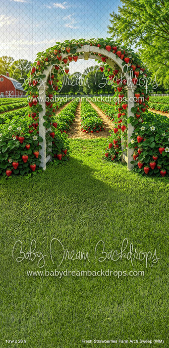 Fresh Strawberries Farm Arch Sweep (WM)