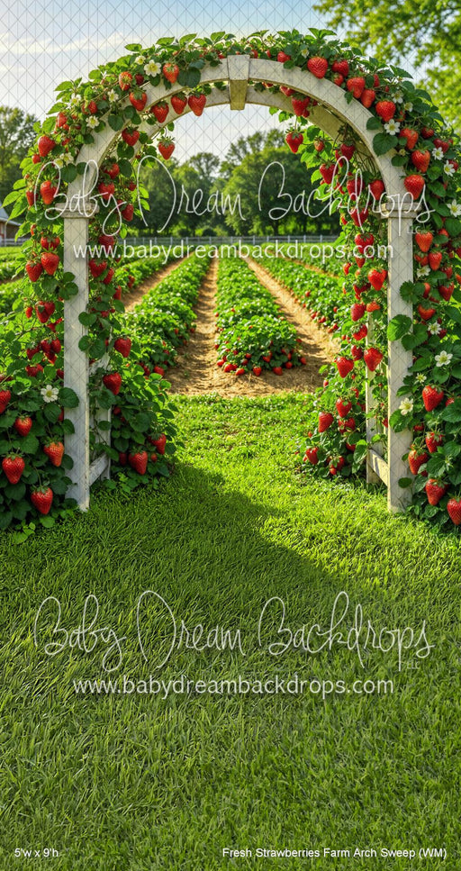 Fresh Strawberries Farm Arch Sweep (WM)