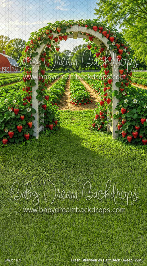 Fresh Strawberries Farm Arch Sweep (WM)