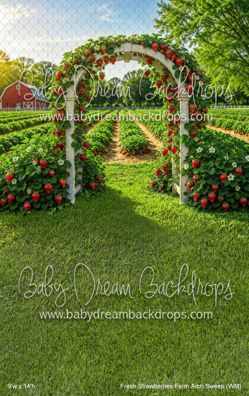 Fresh Strawberries Farm Arch Sweep (WM)