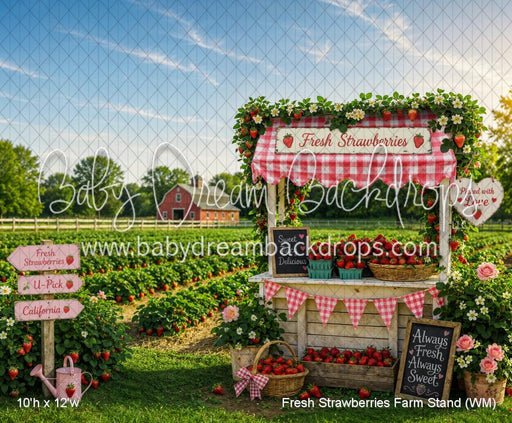 Fresh Strawberries Farm Stand (WM)