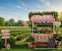 Fresh Strawberries Farm Stand (WM)