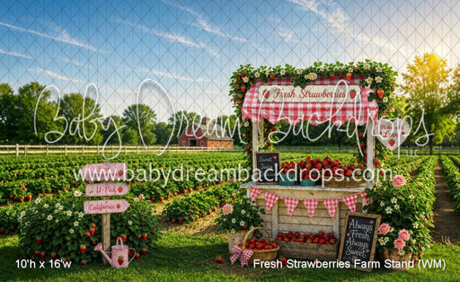Fresh Strawberries Farm Stand (WM)