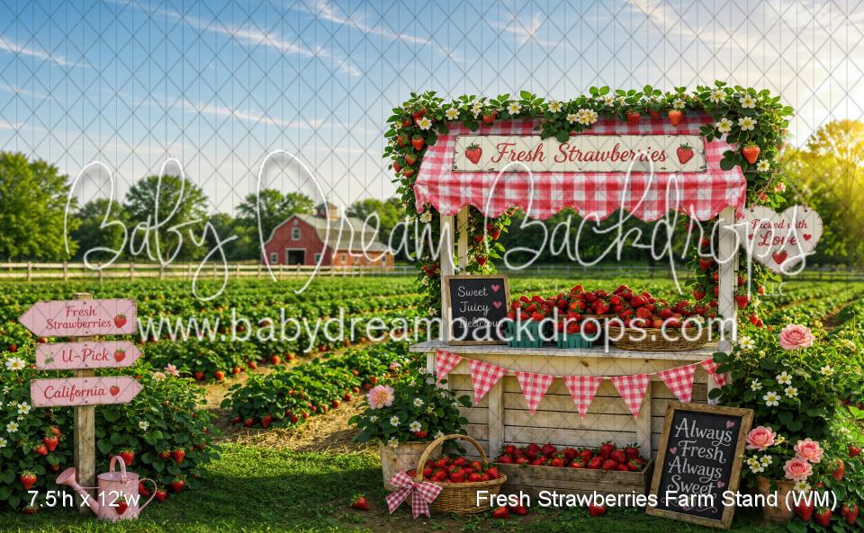 Fresh Strawberries Farm Stand (WM)