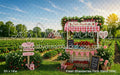 Fresh Strawberries Farm Stand (WM)